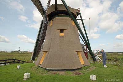 Doeshofmolen