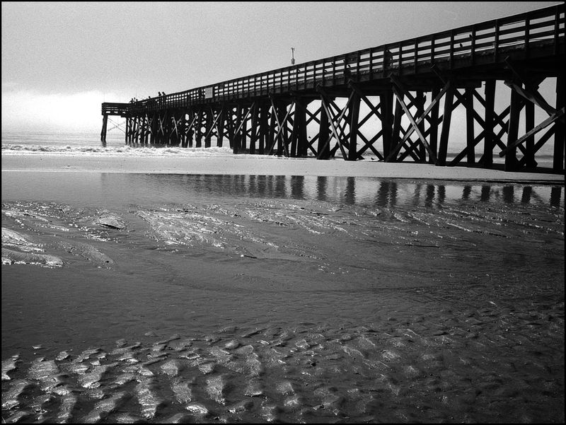 Low Tide after Fog