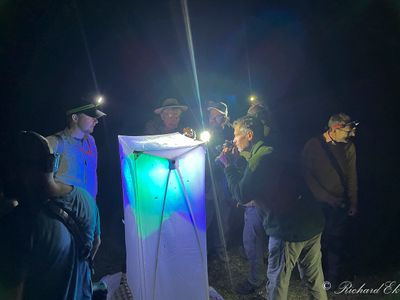 Bioblitz Trollskogen