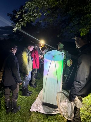 Bioblitz Karum