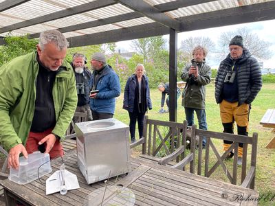 Naturbutiken ljusflla