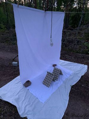 Moth Collecting Sheet with a 125w Mercury Vapour Bulb