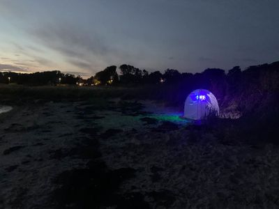 Moth Collecting Tent