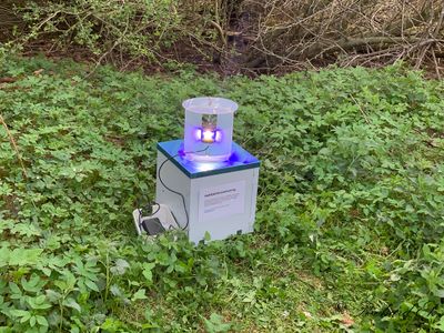 Heath Moth Trap with a Lepiled maxi