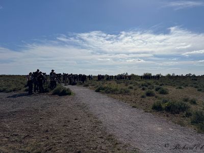 g13/49/818749/3/175604137.94443907.JPEG