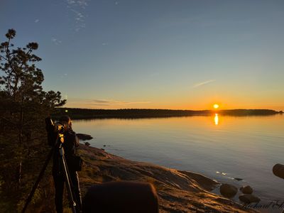Birders in action