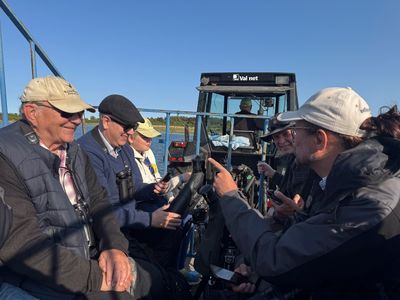 Birders in action