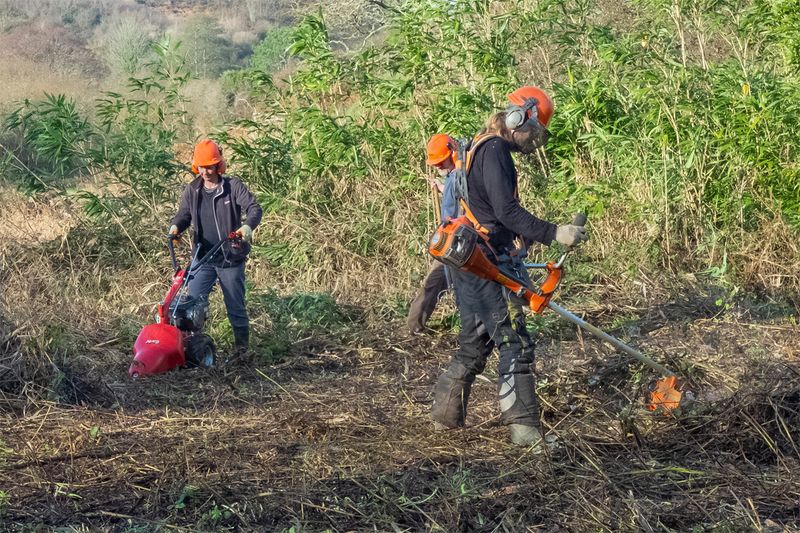 Week 51 - Hangar Marsh Salcombe - Volunteer work gang #3.jpg