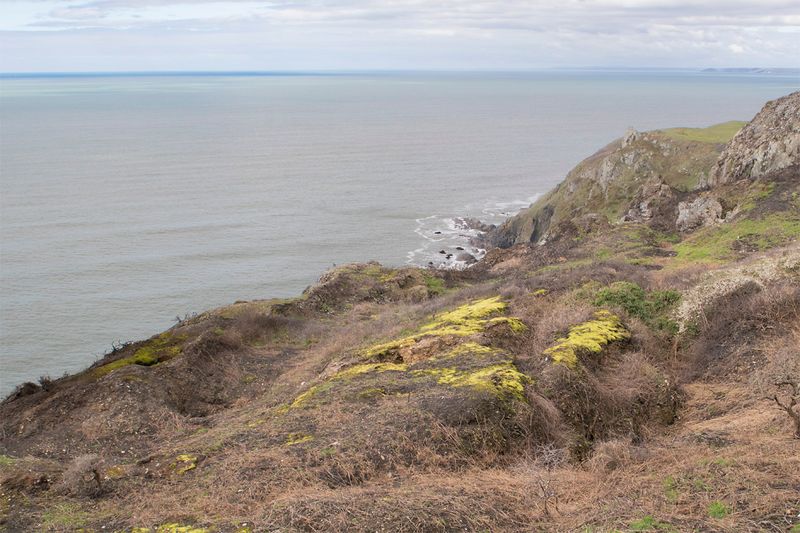 Old Iron Mine at Bolberry Down 02-04-23.jpg