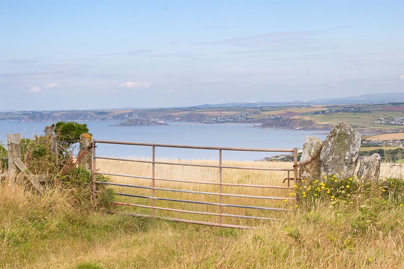 Bolberry Down looking towards Burgh Island 18-07-24.jpg
