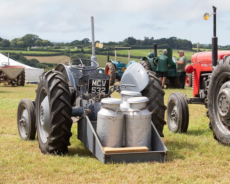 Tractors #11.jpg