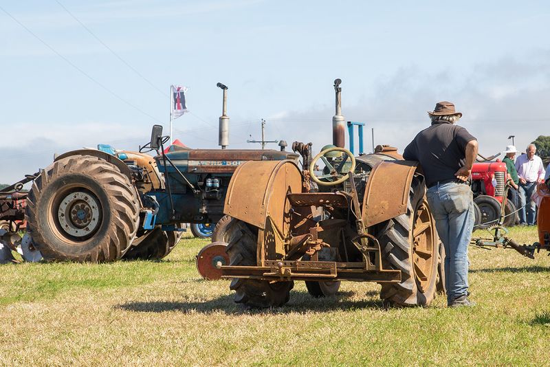Tractors #15.jpg