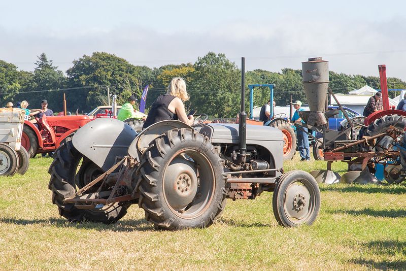 Tractors #16.jpg