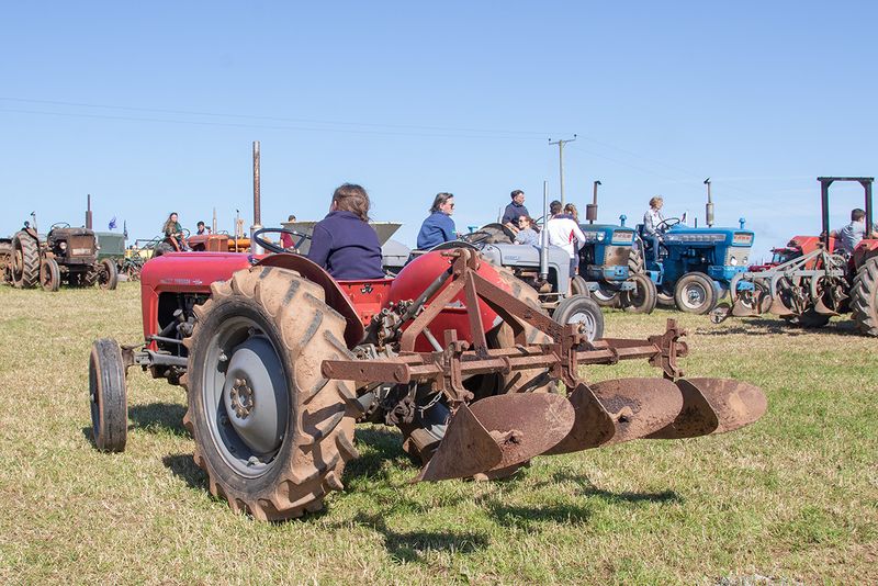 Tractors #19.jpg