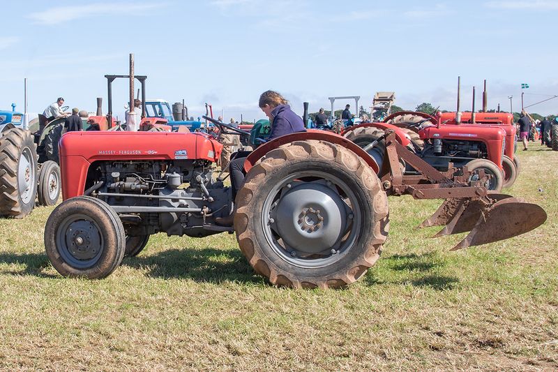 Tractors #22.jpg