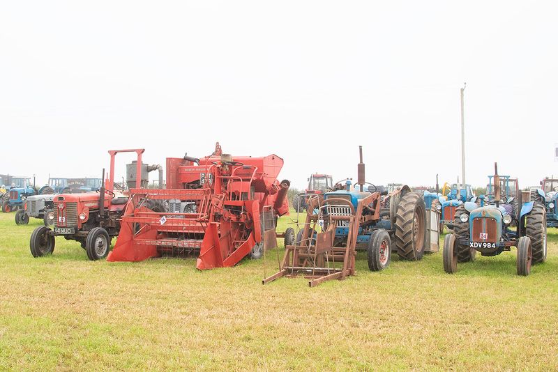 Tractors #3.jpg