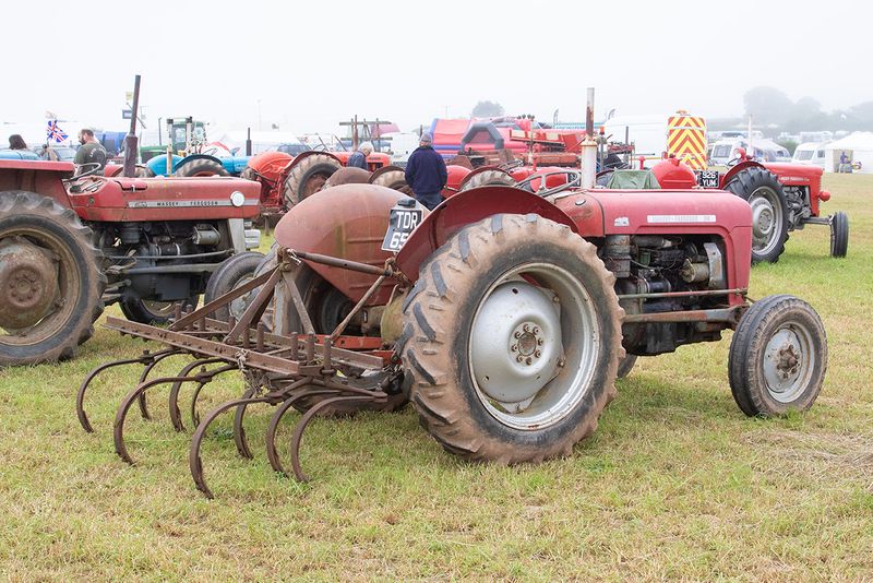 Tractors #6.jpg