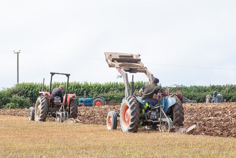Tractors - Working #16.jpg