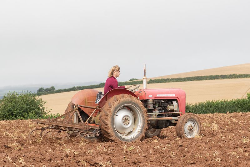 Tractors - Working #4.jpg