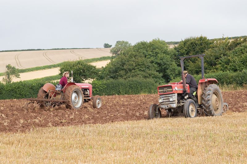 Tractors - Working #8.jpg
