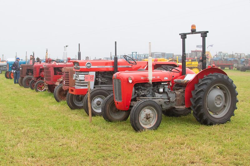 Tractors #1.jpg