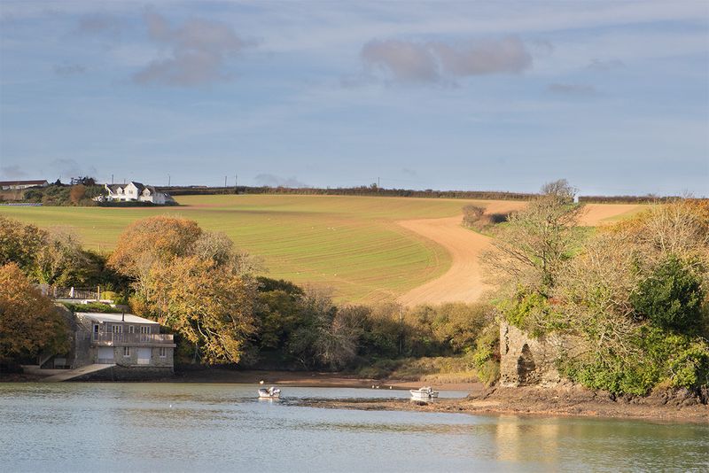 Batson Creek - Salcombe 13-11-24.jpg