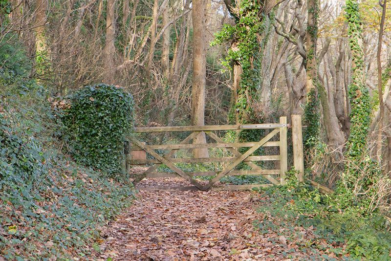 Coast Path Gate near Bar Lodge - Salcombe 22-11-24.jpg