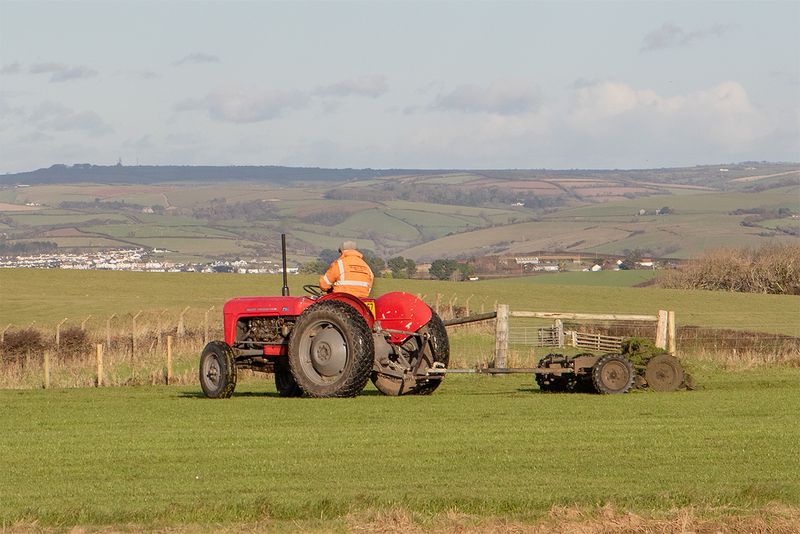 Malborough Airstrip - cutting grass 14-12-24.jpg