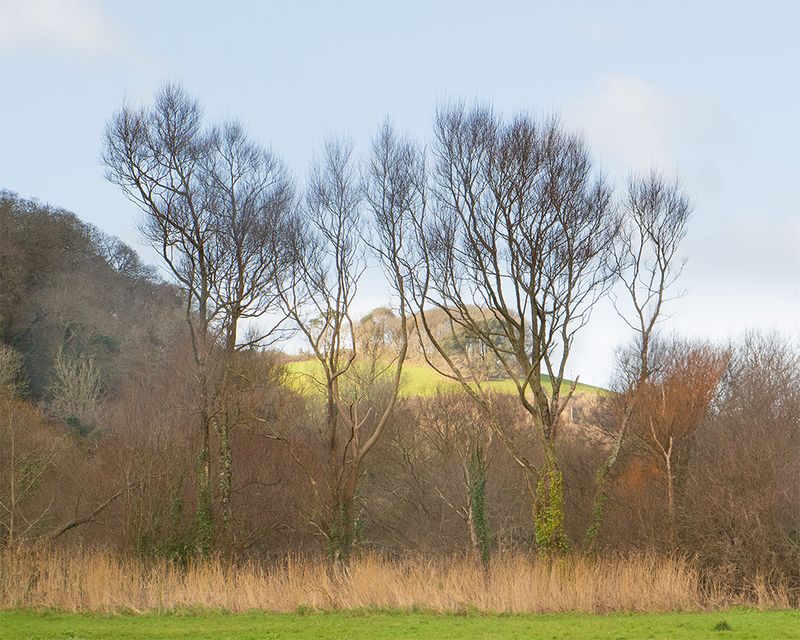 A glimpse of brightness - North Sands - Salcombe 22-12-24.jpg