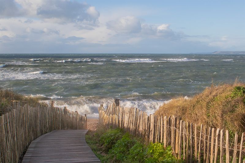Week 02 - Pathway to Thurlestone Beach.jpg