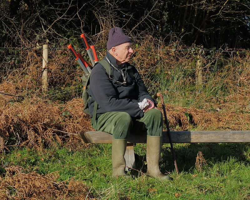 Week 03 - Gordon in Andrews Wood.jpg