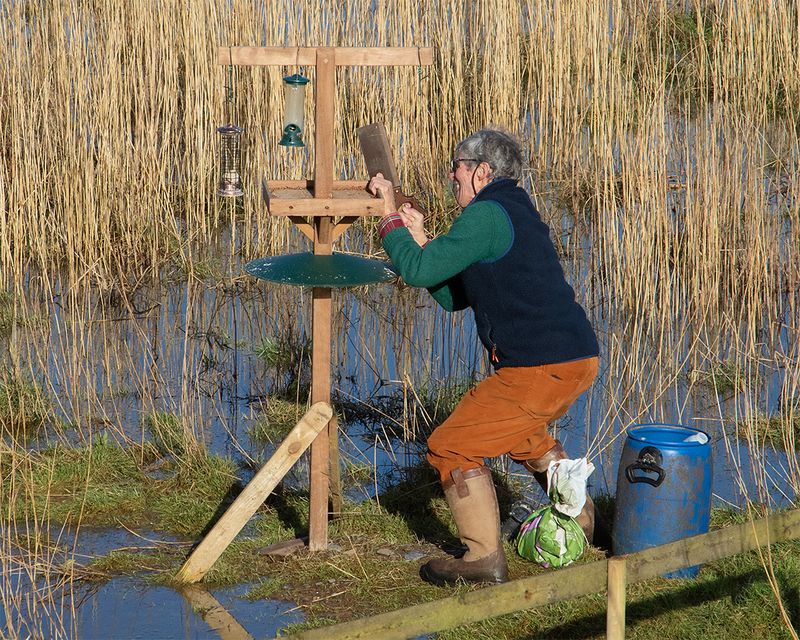 Week 05 - Alterations to the bird feeder.jpg