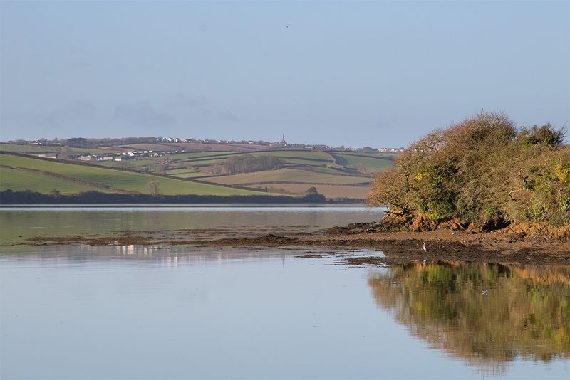 Week 05 - View from West Charleton bird hide.jpg