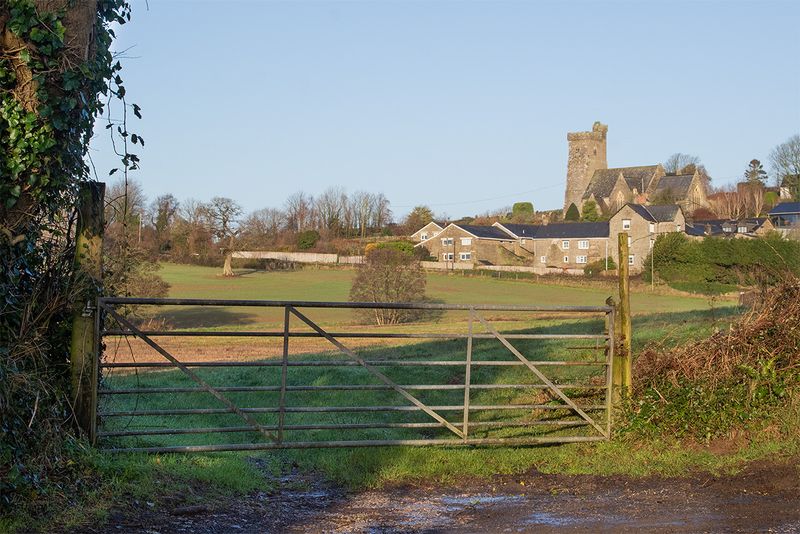 Gate - Marsh Lane West Charleton 31-01-25.jpg