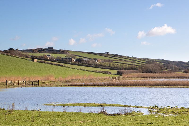 Week 10 - Thurlestone Sands - South Huish Ley.jpg