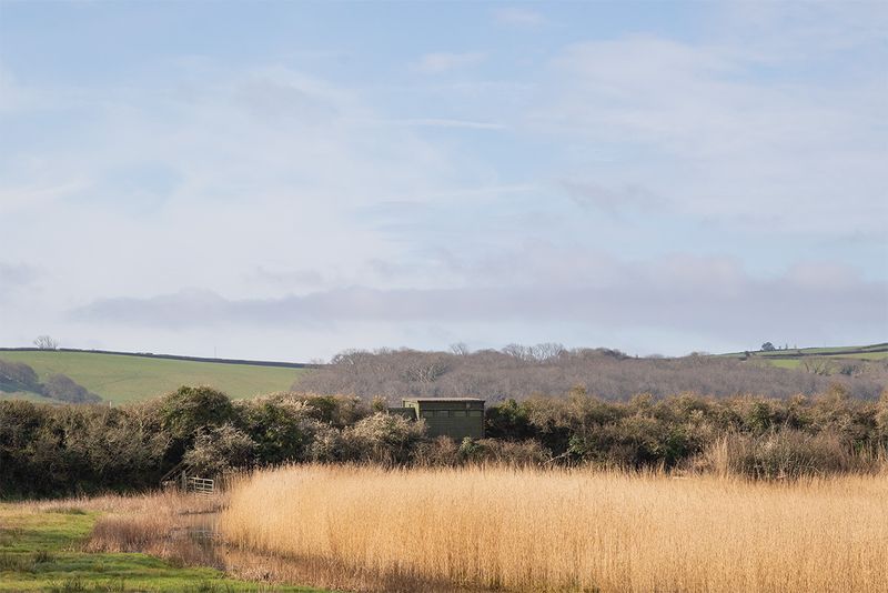 Week 14 - West Charleton Bird Hide.jpg