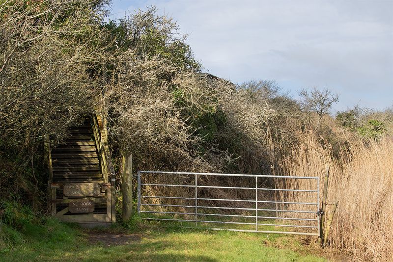 West Charleton Bird Hide Entrance 25-03-25.jpg