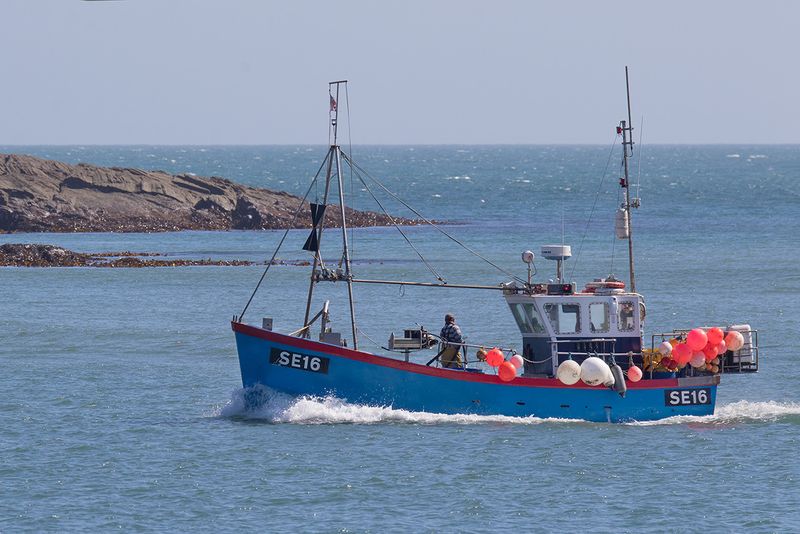 Week 16 - Salcombe Boats - Davrik.jpg