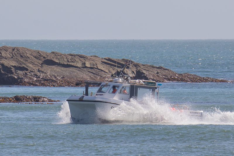 Week 16 - Salcombe Boats - Mayhem.jpg