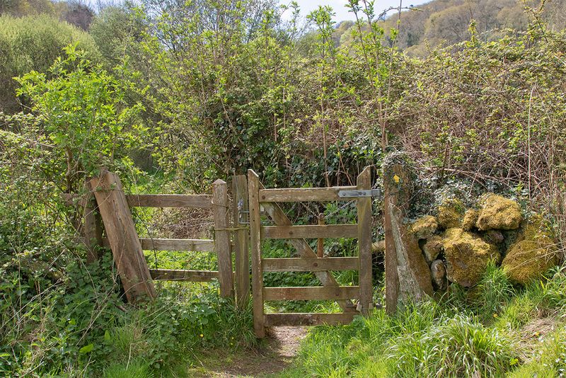 Gate - Motherhill Farm - North Sands Valley 17-04-25 #2.jpg