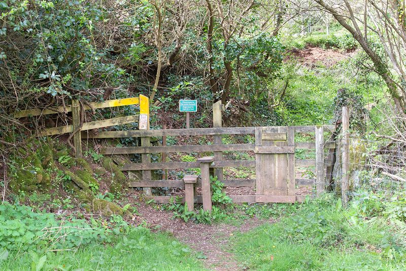Gate - Motherhill Farm - North Sands Valley 17-04-25 #4.jpg