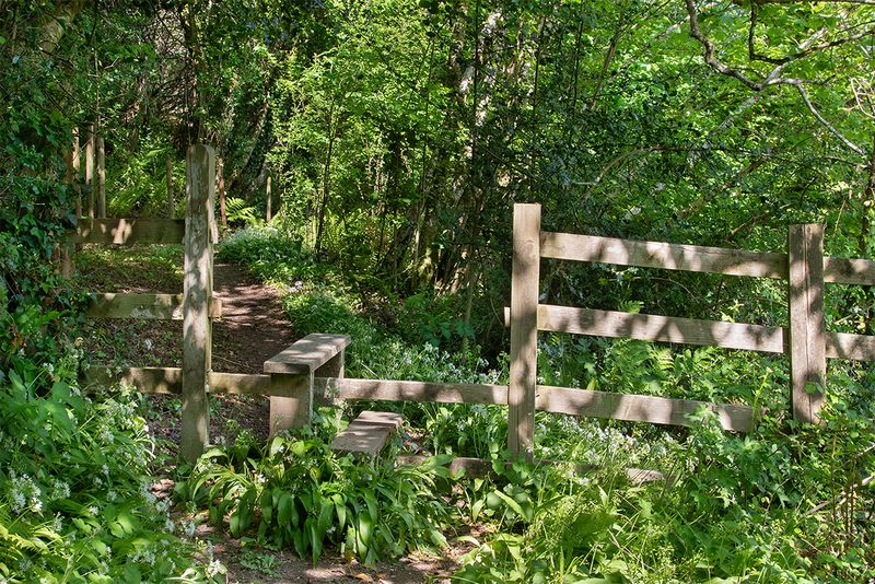 Week 21 - Aveton Gifford - style on woodland path.jpg