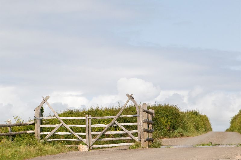 Bolberry Down gate 04-06-25.jpg