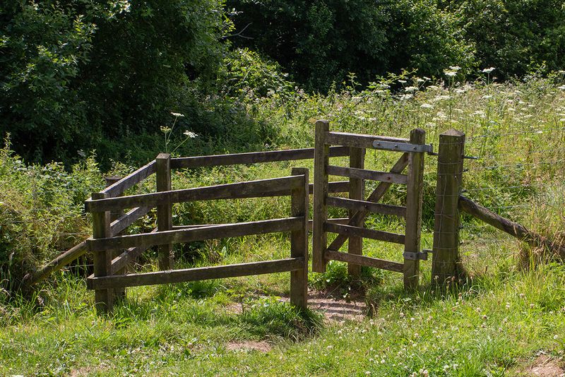 Week 28 - Watkins Wood Gate.jpg