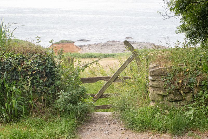 Week 29 - Prawle Point Car Park Gate.jpg