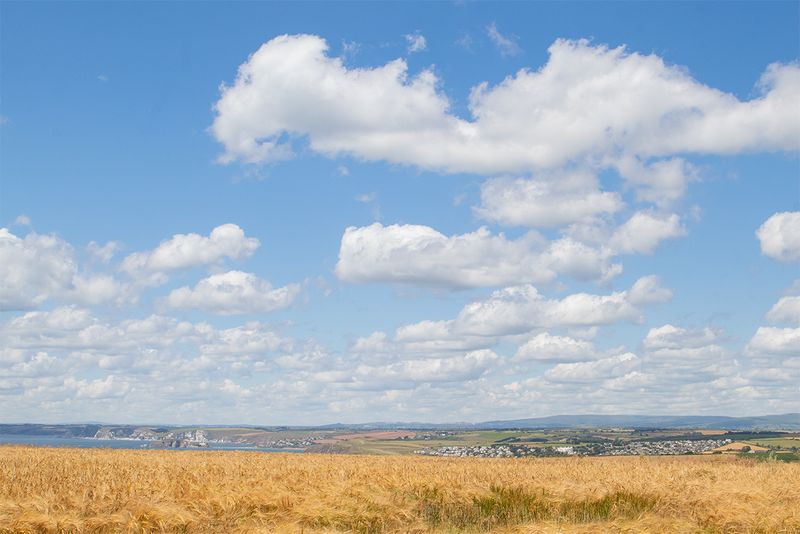 View from Bolberry Road 02-07-25.jpg