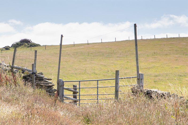 Week 31 - Prawle Point Gate.jpg