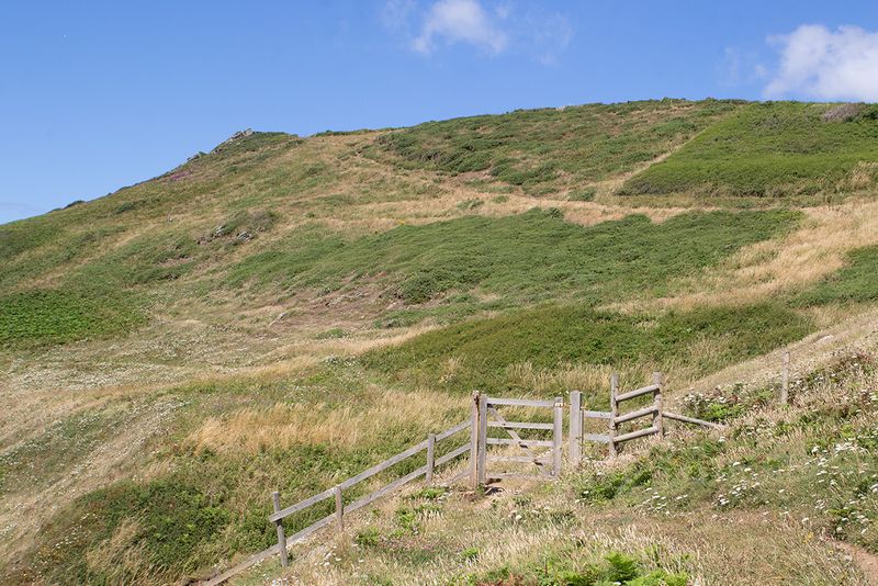 Week 32 - Gammon Head Coast Path Gate.jpg
