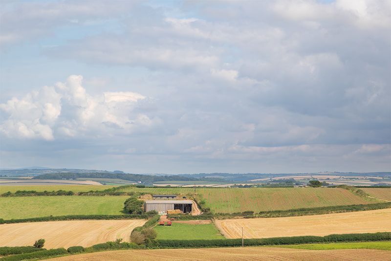 Week 34 - View from Jacobs Lane - Bolberry.jpg