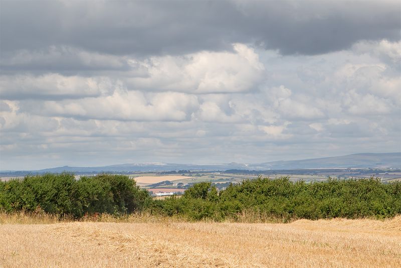 Week 33 - View from Jacobs Lane towards Dartmoor.jpg